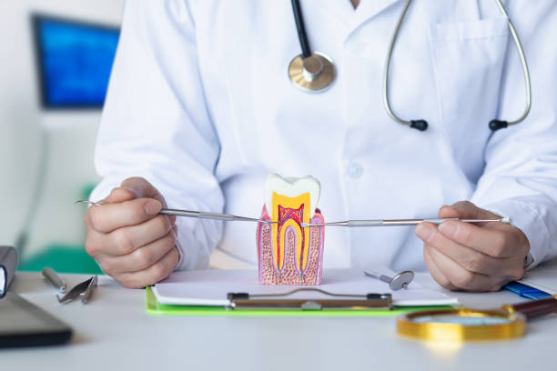 Best Emergency Treatment for Dental Infections or Abscesses in Flower Hill, MD
